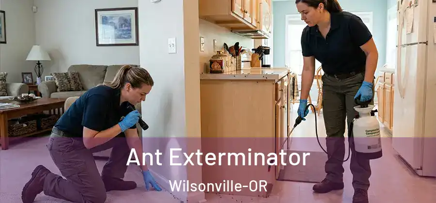 Ant Exterminator Wilsonville-OR