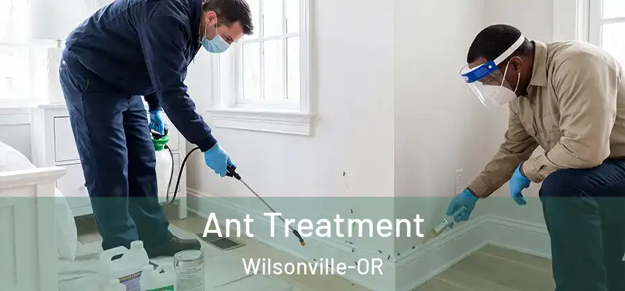 Ant Treatment Wilsonville-OR