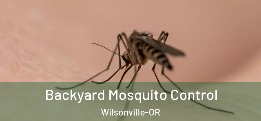 Backyard Mosquito Control Wilsonville-OR