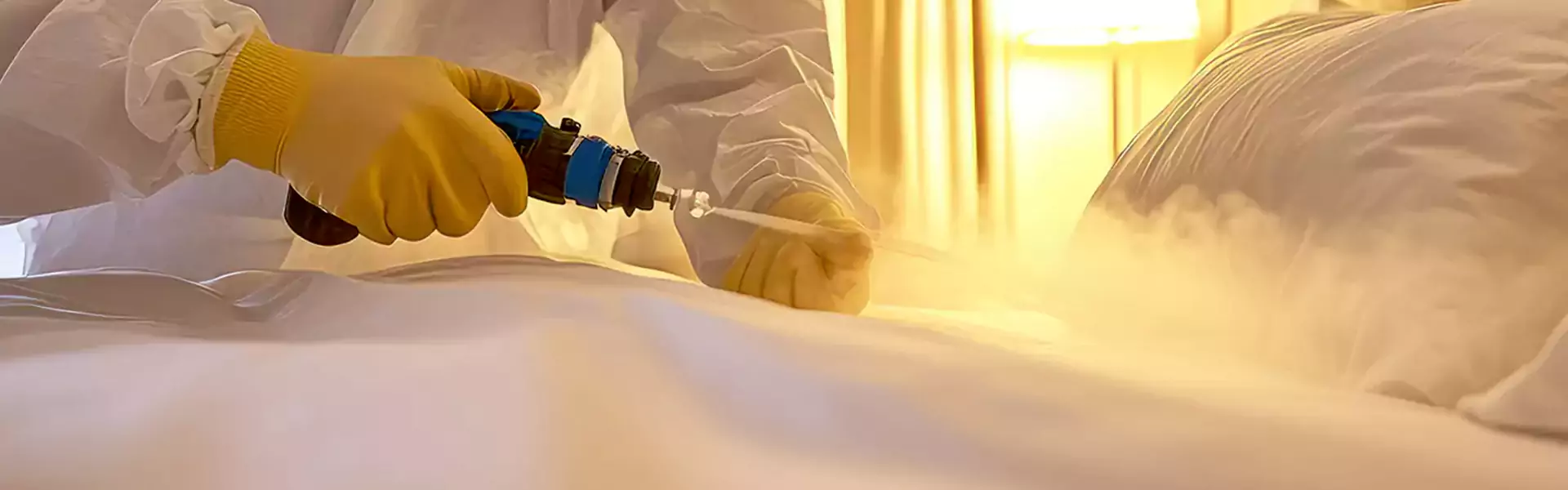 Bed Bug Heat Treatment Cost