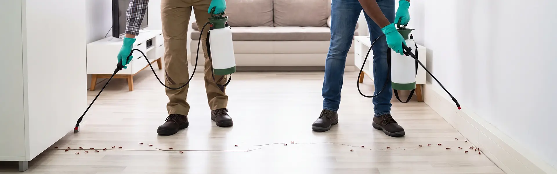 Fire Ant Control