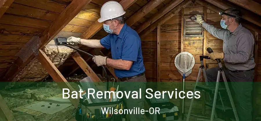 Bat Removal Services Wilsonville-OR