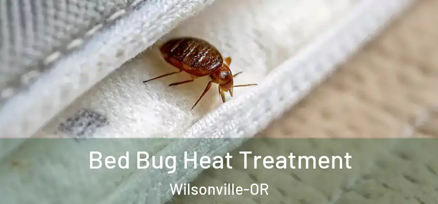 Bed Bug Heat Treatment Wilsonville-OR