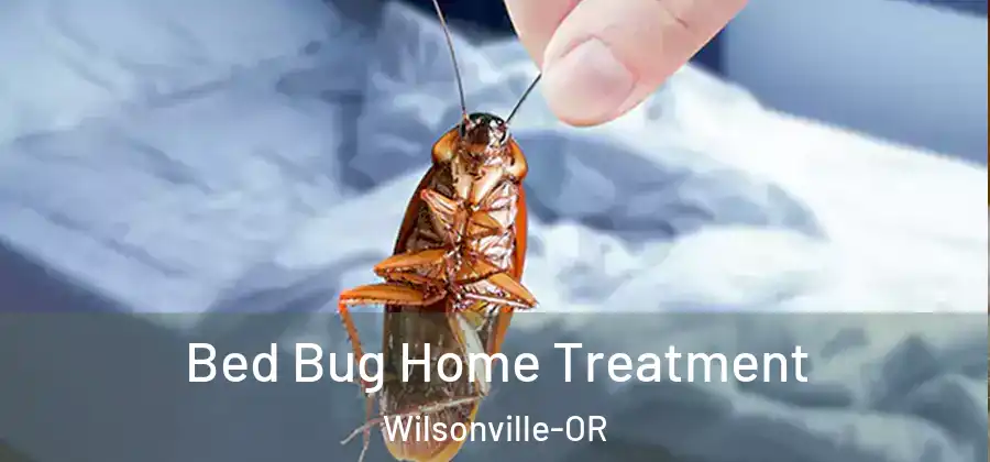 Bed Bug Home Treatment Wilsonville-OR