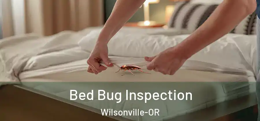 Bed Bug Inspection Wilsonville-OR