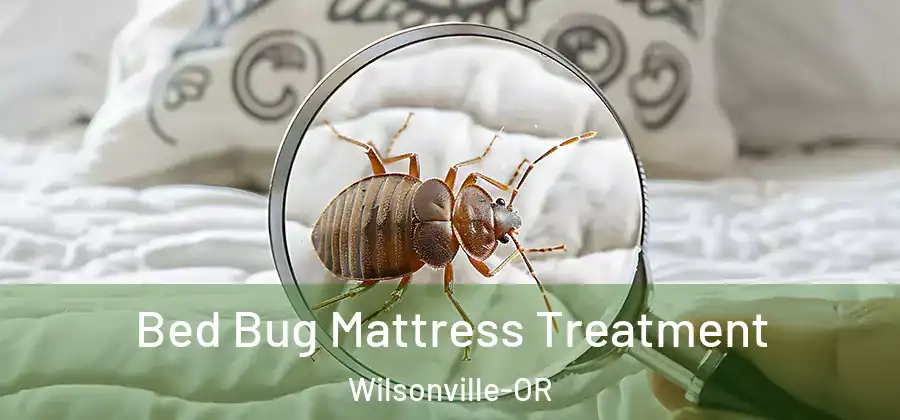  Bed Bug Mattress Treatment Wilsonville-OR