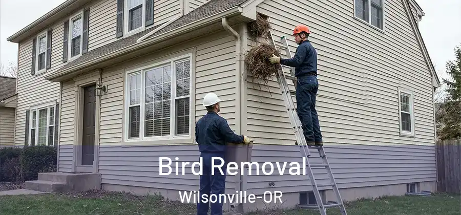 Bird Removal Wilsonville-OR