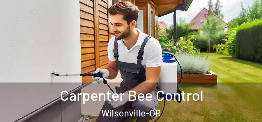 Carpenter Bee Control Wilsonville-OR