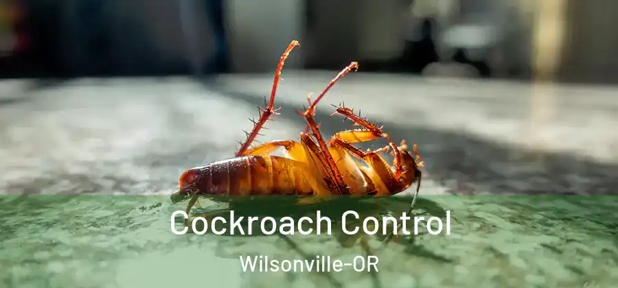 Cockroach Control Wilsonville-OR