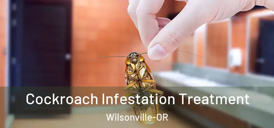 Cockroach Infestation Treatment Wilsonville-OR