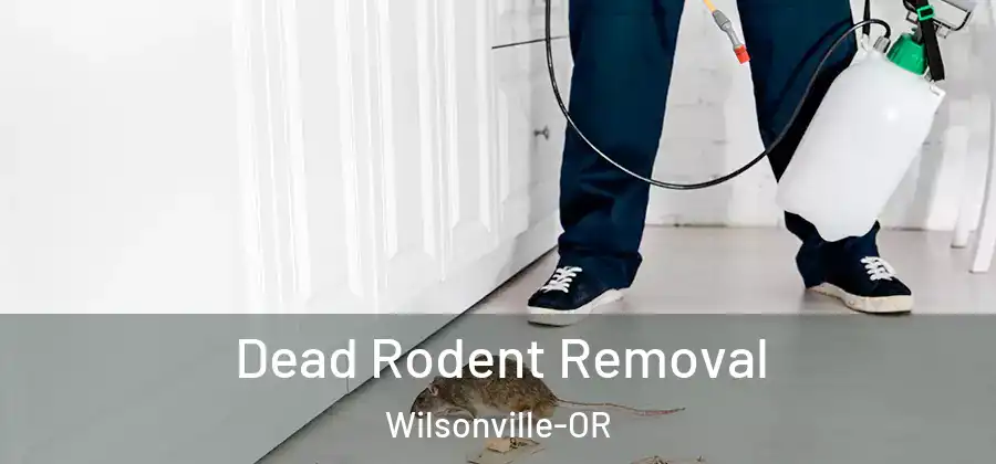 Dead Rodent Removal Wilsonville-OR