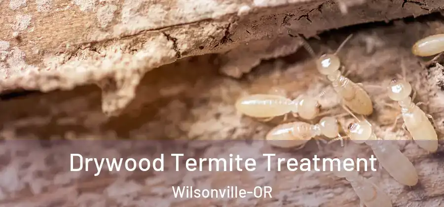 Drywood Termite Treatment Wilsonville-OR