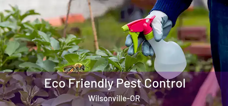 Eco Friendly Pest Control Wilsonville-OR