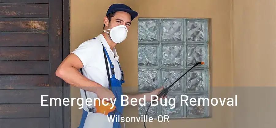 Emergency Bed Bug Removal Wilsonville-OR