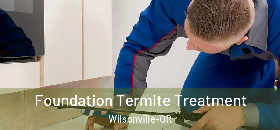 Foundation Termite Treatment Wilsonville-OR