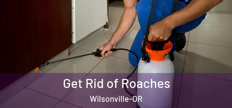 Get Rid of Roaches Wilsonville-OR