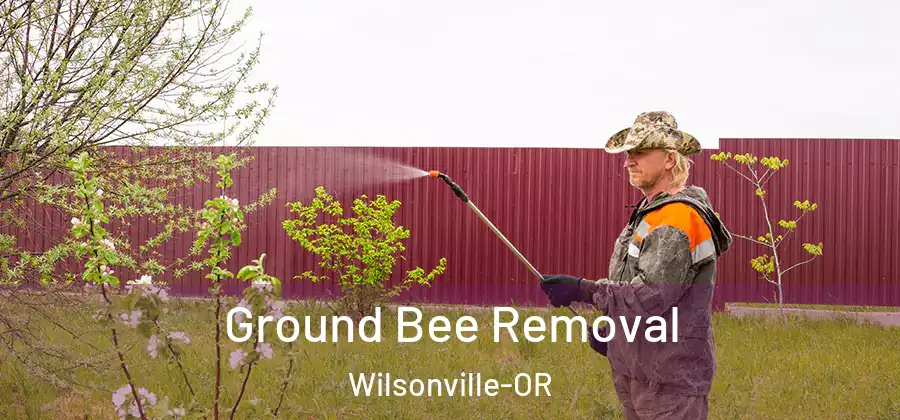  Ground Bee Removal Wilsonville-OR