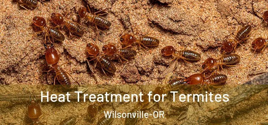 Heat Treatment for Termites Wilsonville-OR