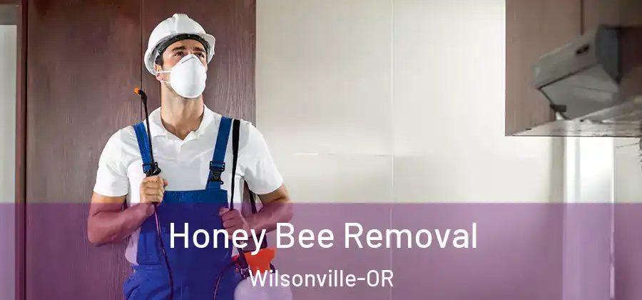 Honey Bee Removal Wilsonville-OR