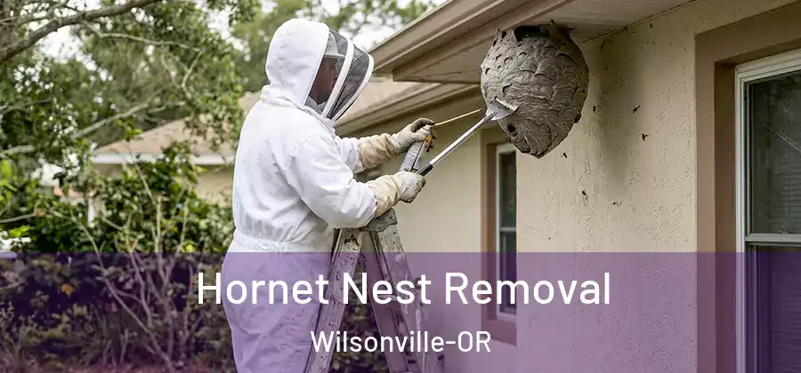 Hornet Nest Removal Wilsonville-OR