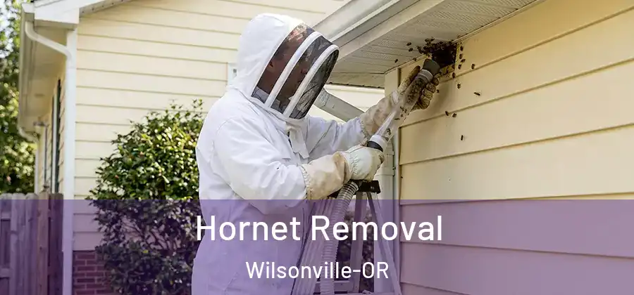 Hornet Removal Wilsonville-OR