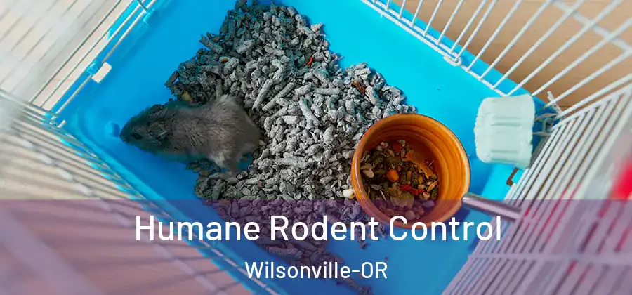 Humane Rodent Control Wilsonville-OR