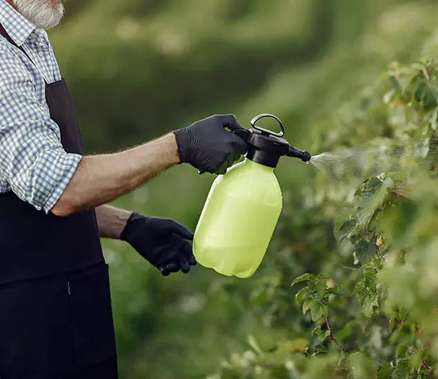 Your Proven Mosquito Treatment Company in Wilsonville, OR