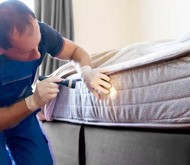 Trusted Bed Bug Cost Experts in Wilsonville, OR