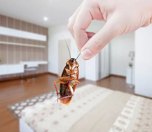 Your Cockroach Control Services in Wilsonville, OR