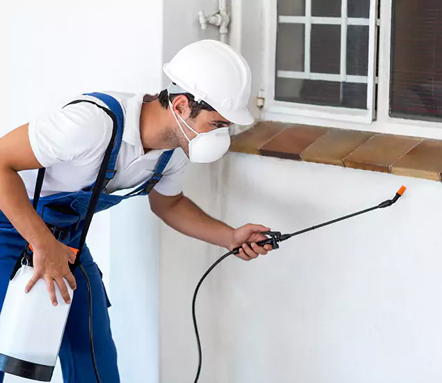 Your Professional Cockroach Exterminator in Wilsonville, OR