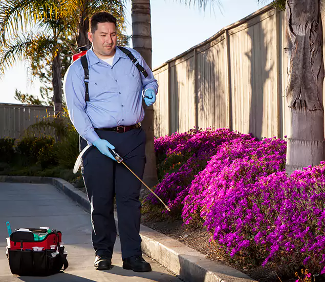 About Our Eco Safe Pest Control Experts in Wilsonville, OR