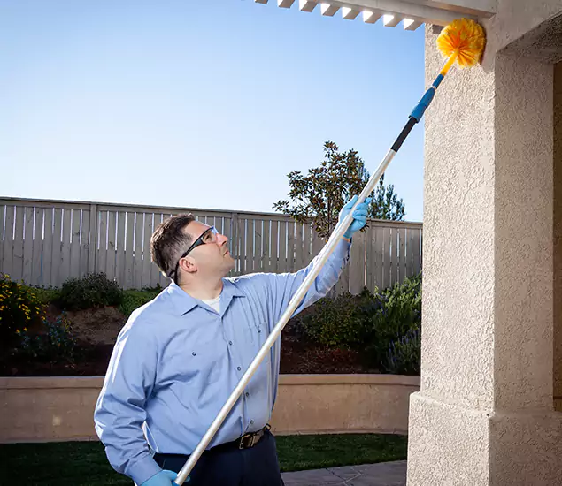 Trusted Experts in Wilsonville OR for Formosan Termite Treatment and Black Termite Control