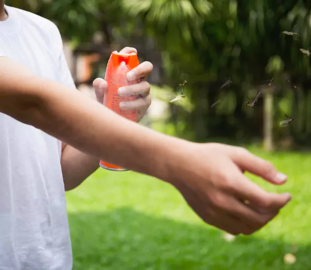 Your Best Indoor Bug Killer Team in Wilsonville, OR