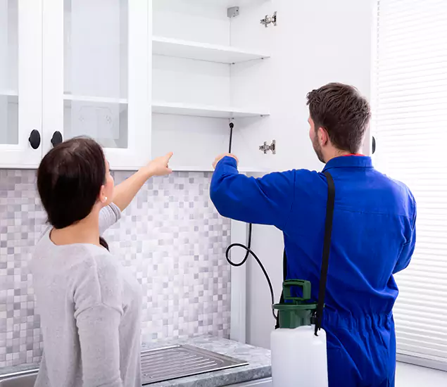 In Wilsonville, OR Advanced Household Pest Control by Wilsonville Pest Control Pro