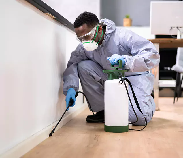 Leading Industrial Pest Control Experts Serving Wilsonville, OR