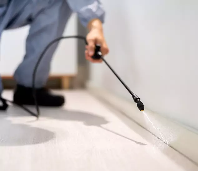 About Our Liquid Termite Treatment Experts in Wilsonville, OR