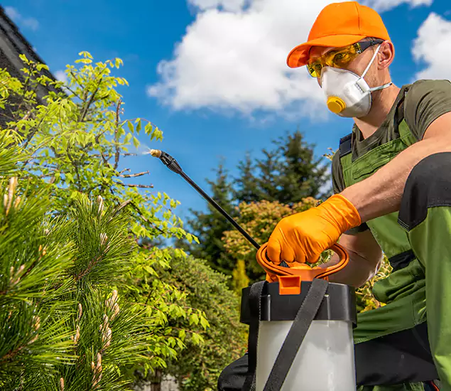 Reliable Mosquito Pest Control Services: Your Proven Mosquito Specialist in Wilsonville, OR
