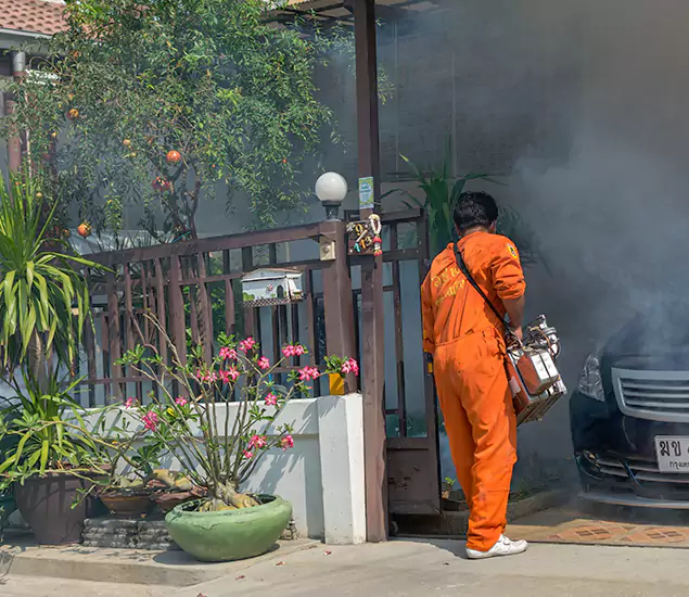 Your Proven Mosquito Fogging Company in Wilsonville, OR