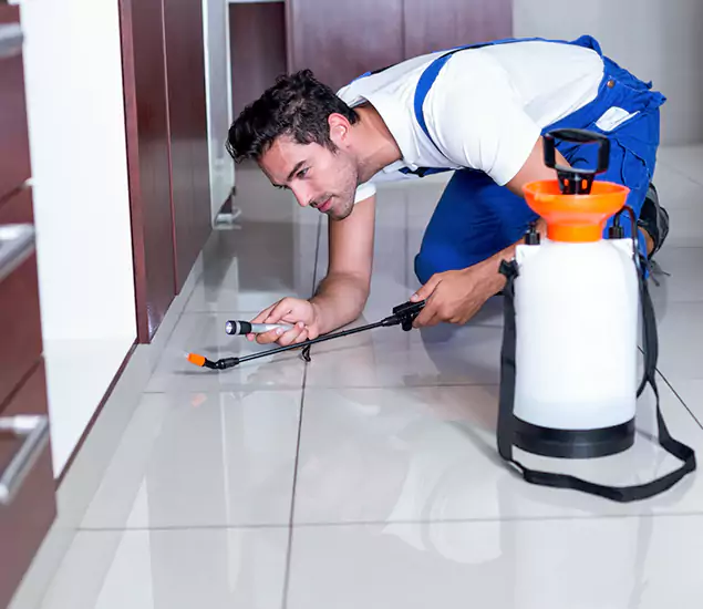 Reliable Professional Mouse Removal: Your Best Mouse Control Company in Wilsonville, OR