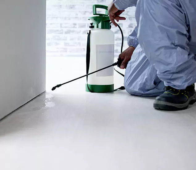Affordable Pest Control Experts in Wilsonville, OR
