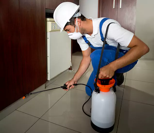 Advanced Termite Pre Treatment Experts in Wilsonville, OR