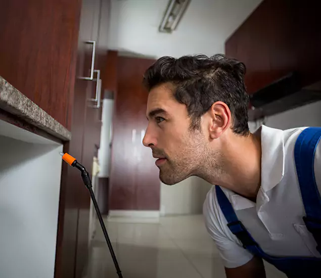 Expert Rodent in Attic Removal: Your Proven Pest Specialists in Wilsonville, OR