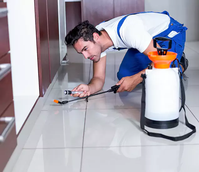Advanced Slab Termite Treatment Experts You Can Trust&nbsp;in Wilsonville, OR