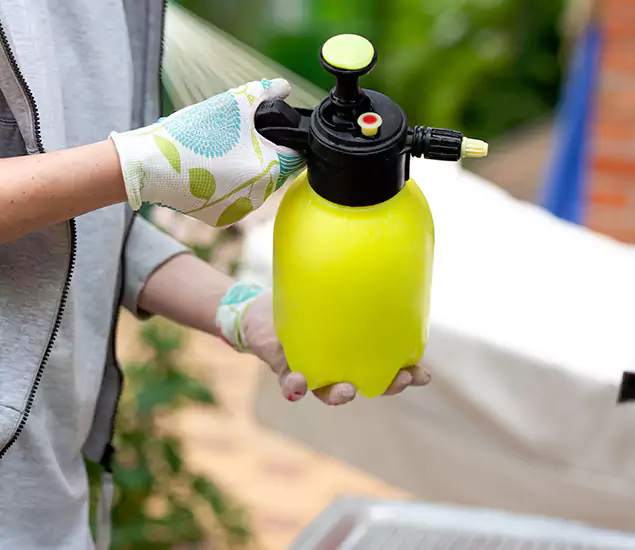 Skilled Residential Small Black Ant Service in Wilsonville, OR