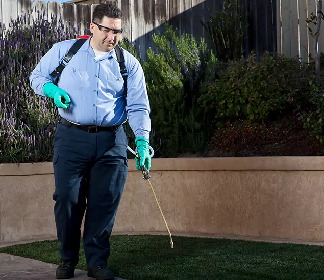 Reliable Termite Barrier Treatment Experts in Wilsonville, OR