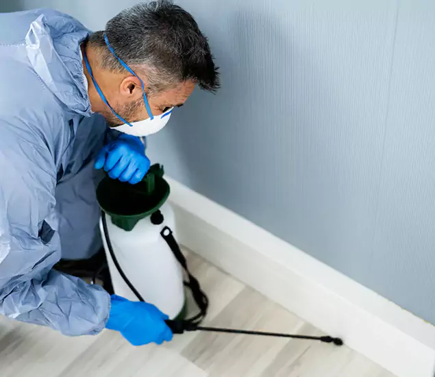 Reliable Termite Cost Experts in Wilsonville, OR