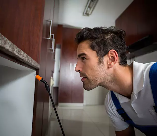 Termite Inspection Cost Experts You Can Trust in Wilsonville, OR