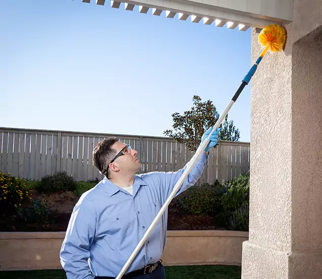 Your Trusted Wasp Removal Company in Wilsonville, OR