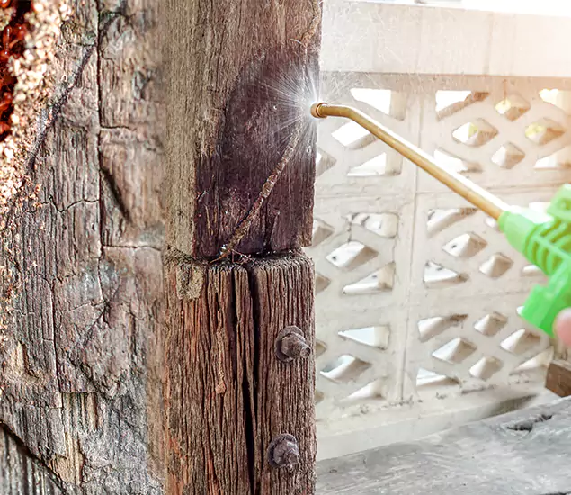About Wood Termite Treatment Services in Wilsonville, OR