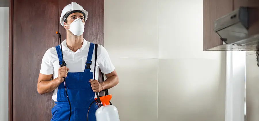 Per Room Bed Bug Cost in Wilsonville